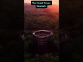 The Forest Tower Denmark TheForestTower TravelDenmark Denmak Travel Visitdenmark Views