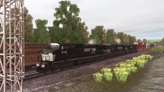TRS19 Live 03-08-19