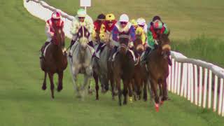 Vidéo de la course PMU PRIX DU PIN CARAIBE