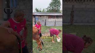 Blame the Bull! 😂😳 #EnglishShorts