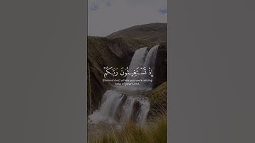 🌸🍃إذ تستغيثون ربكم 🎙️المقرئ : محمد اللحيدان  📖سورة الأنفال 💫|الآية { 9}|