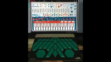 Sensel Morph Buchla Thunder & Arturia Buchla Music Easel V