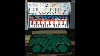 Sensel Morph Buchla Thunder & Arturia Buchla Music Easel V