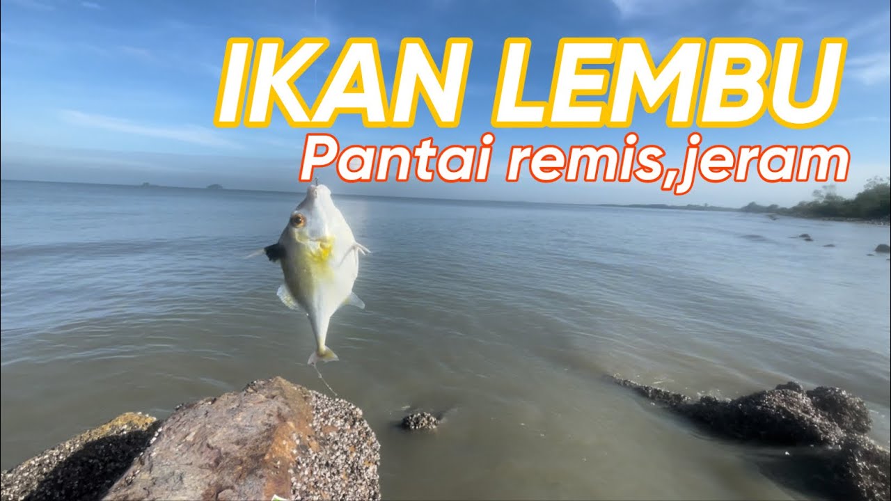 DAPAT IKAN LEMBU DEKAT PANTAI REMIS,JERAM!!!! YouTube