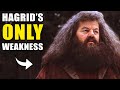 10 Things You NEVER Knew about Hagrid (Robbie Coltrane Tribute) - Harry Potter Explained