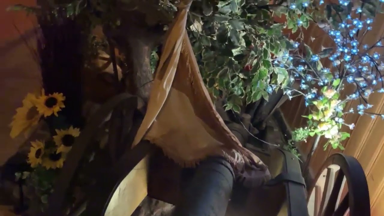 Gasthof Zur Linde in Zwönitz, unsere weitere Empfehlung für das Erzgebirge! Wunderschöne Haamit ❤