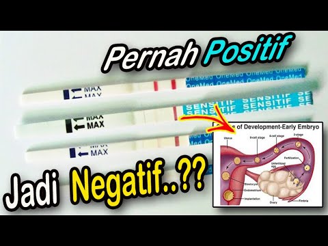 Video: Dapatkah perubahan persentase menjadi negatif?