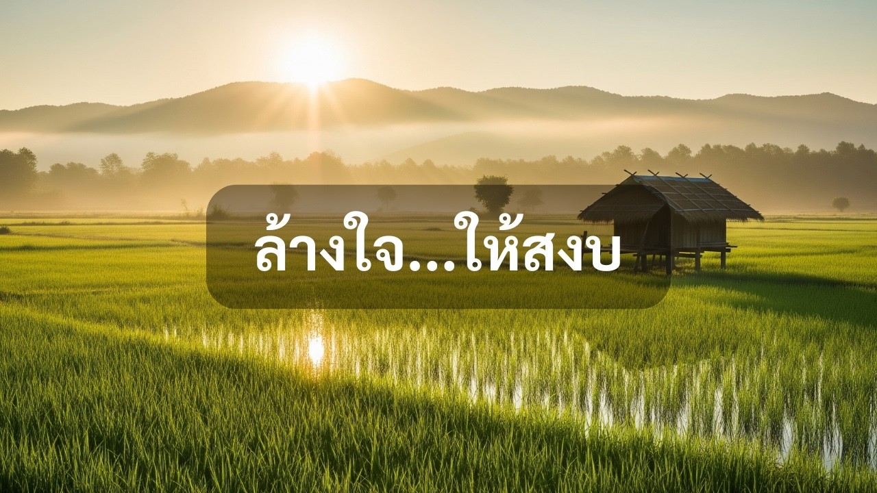 3 ชั่วโมง เพลงบรรเลงบำบัดจิตใจ 