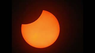 Celebrity Partial solar eclipse Oct 22 Wealth