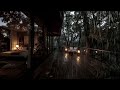 Soothing Forest Rain at Night 🌧️ | Deep Sleep Sounds with Gentle Thunder