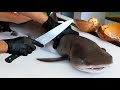 Vietnamese street food  giant shark hot pot seafood vietnam