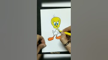 video of how to draw Tweety bird cartoon drawing / step by step drawing / HOW TO DRAW
