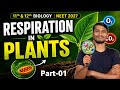 Respiration in Plants #1 | 11th &amp; 12th Biology | NEET 2027 concept clear | BY-PANKAJ KASHYAP 