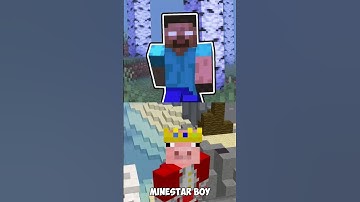 Technoblade vs Herobrine #shorts #minecraft #technoblade #herobrine