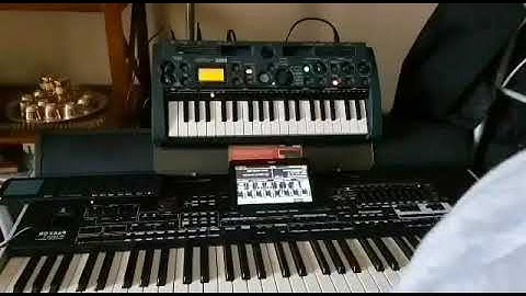 عملاق اللوباتkorg micro sampler