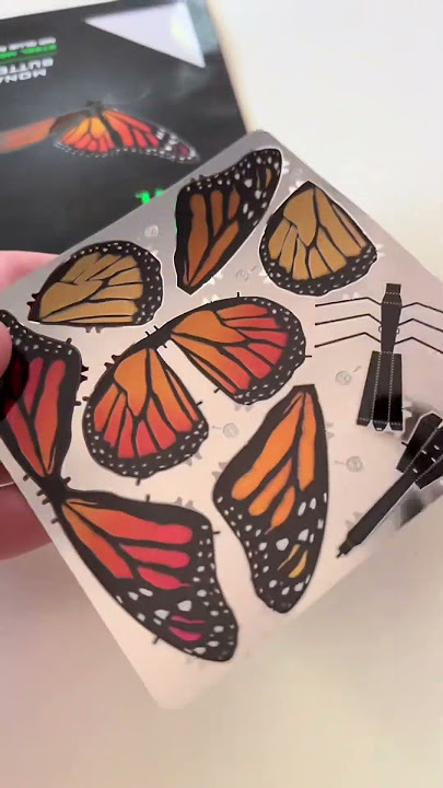 This Guy Found A Metal Butterfly Kit but then… 😱