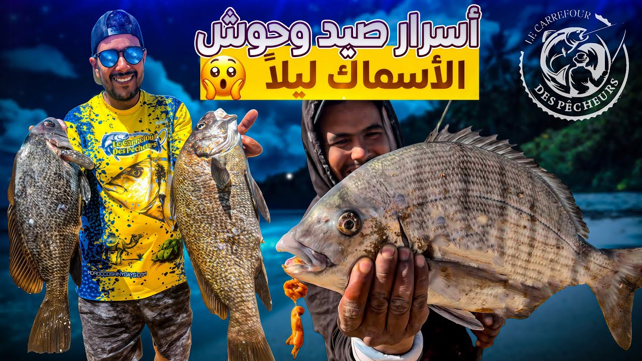 أسرار صيد الأسماك العملاقة ليلًا… اكتشف الطُعم السحري!