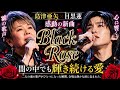 🖤🌹 【島津亜矢 &times; 目黒蓮 感動の新曲】『Black Rose』 🌹🖤「闇の中でも輝き続ける愛――二人の魂の歌声がひとつになった瞬間、会場は静かな涙に包まれた。」🎤✨😭