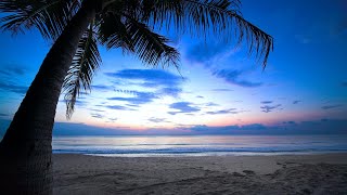 Night Walk on the Beach ~ Solarsoul