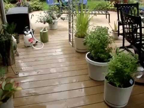 WISCONSIN GARDENING in CONTAINERS Bringing indoors for the LONG WISCONSIN GARDENING in CONTAINERS Bringing indoors for the LONG Winter