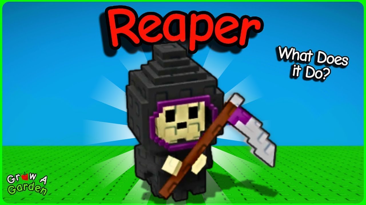 How to GET the REAPER in GROW A GARDEN (What Does it Do?) - YouTube How to GET the REAPER in GROW A GARDEN (What Does it Do?) - YouTube