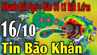 Nhanh Bất Ngờ Bão Số 12 Rất Lớn Tin Bão Khẩn | Dự báo thời tiết ngày 16\/10 | thời tiết 15 ngày