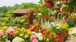 Most Beautiful Garden in the World 🌸 You Won’t Believe This Place Is Real!