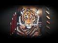 Тигр. Рисуем сухой пастелью на наждачной бумаге./Tiger. We draw with dry pastel on sandpaper.