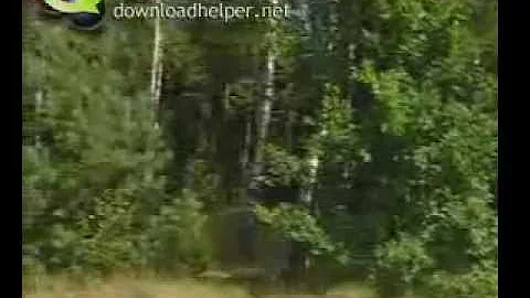Значение фотосинтеза