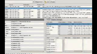 DEF CON 15 - Sergey Bratus - Entropy Based Data Organization Tricks
