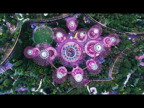 Video: Biophilia Trong Kiến trúc