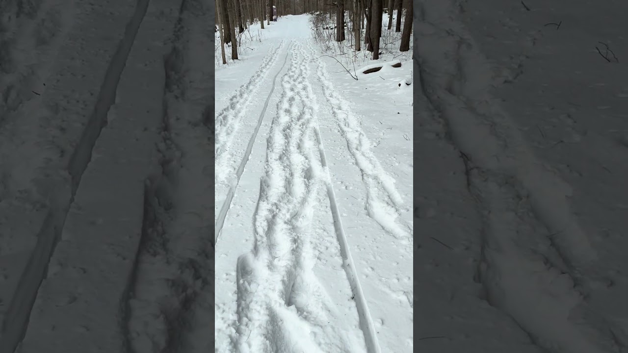 Отслеживание пушки. 