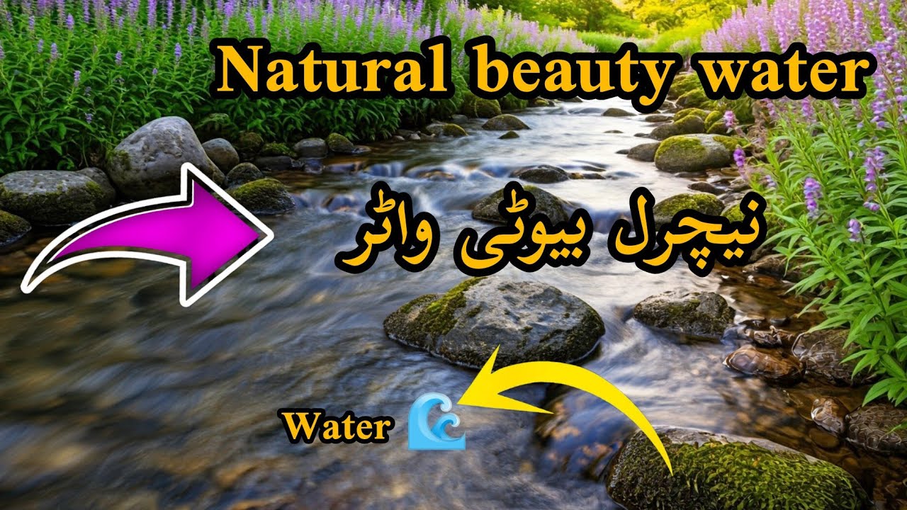 natural beauty water background sound no copyright 2025||background sound||