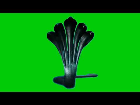 screen snake youtube screen snake youtube
