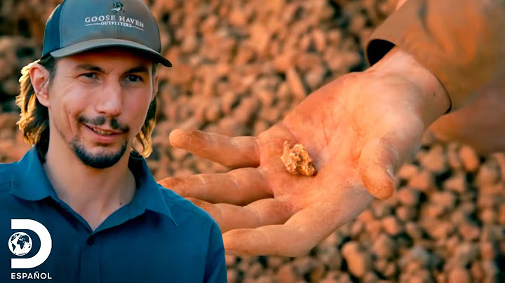 Los hallazgos de oro más anecdóticos | Fiebre del Oro | Discovery en Español