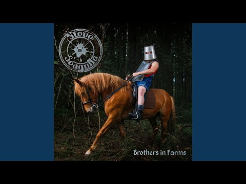 November Rain - Steve ´n´ Seagulls