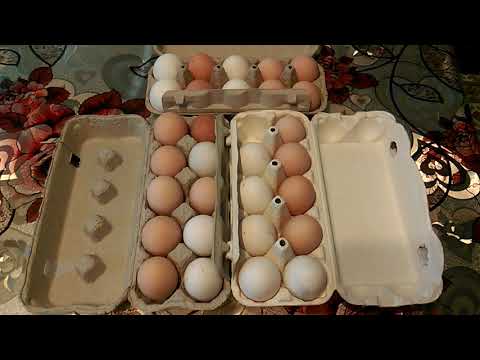 Сбор,хранение и подготовка куриных яиц для инкубации!