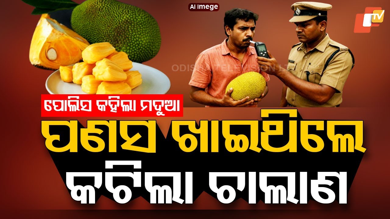 Special Story: Kerala Bus Driver Falsely Fined for Drunk Driving After Eating Jackfruit