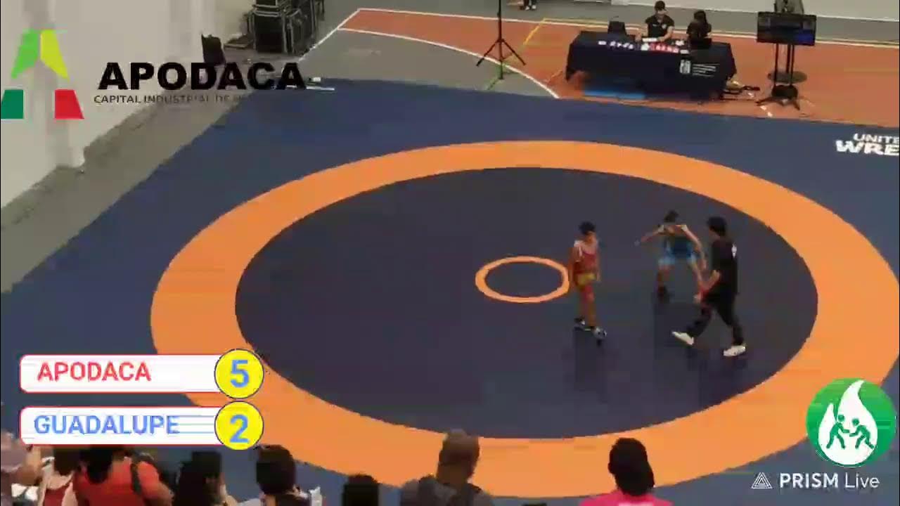 LUCHA GRECORROMANA SELECCION DE APODACA YouTube