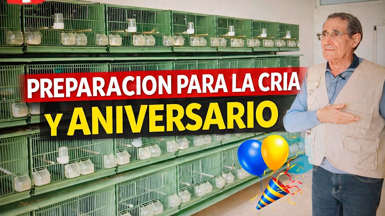 PREPARACION PARA LA CRIA Y ANIVERSARIO.