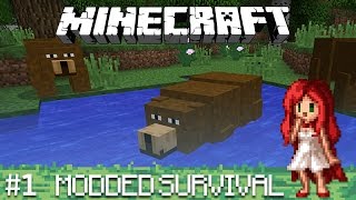 WELCOME BACK [Over the Rainbow - Modded Minecraft Ep 1]