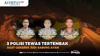 3 Polisi Tewas Tertembak saat Gerebek Judi Sabung Ayam di Lampung, Satu Diantaranya Kapolsek