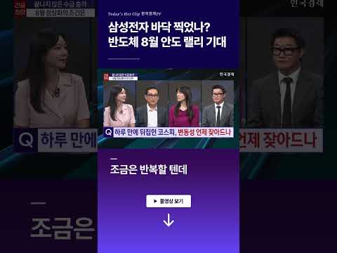 삼성전자 바닥 찍었나? 반도체 8월 안도 랠리 기대 l 조윤남 l 염정 l 이화진