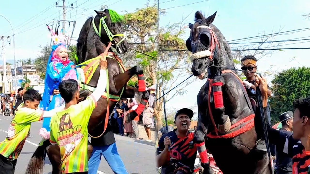 ARAK ARAKAN KUDA JINGKRAK DESA TAMBAKREJO, PURWOREJO 3 SEP. 2025