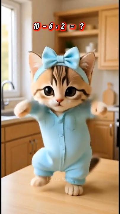 cat dance!😹😍 #shorts #catdance #cutecat #ytshorts #trending #kucingjoget #cat #viralshorts #beranda