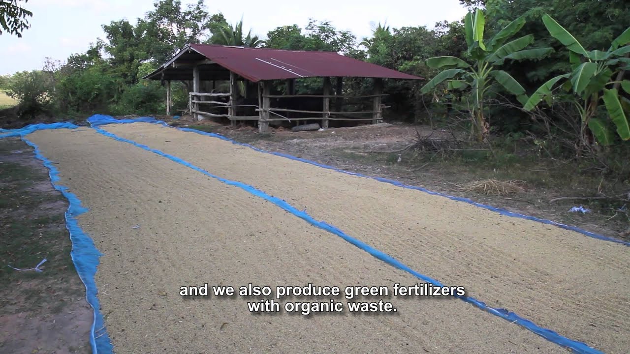 Video testimonial 3   we plant trees but also vegetables