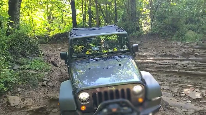 Windrock OHV Park Trail 26