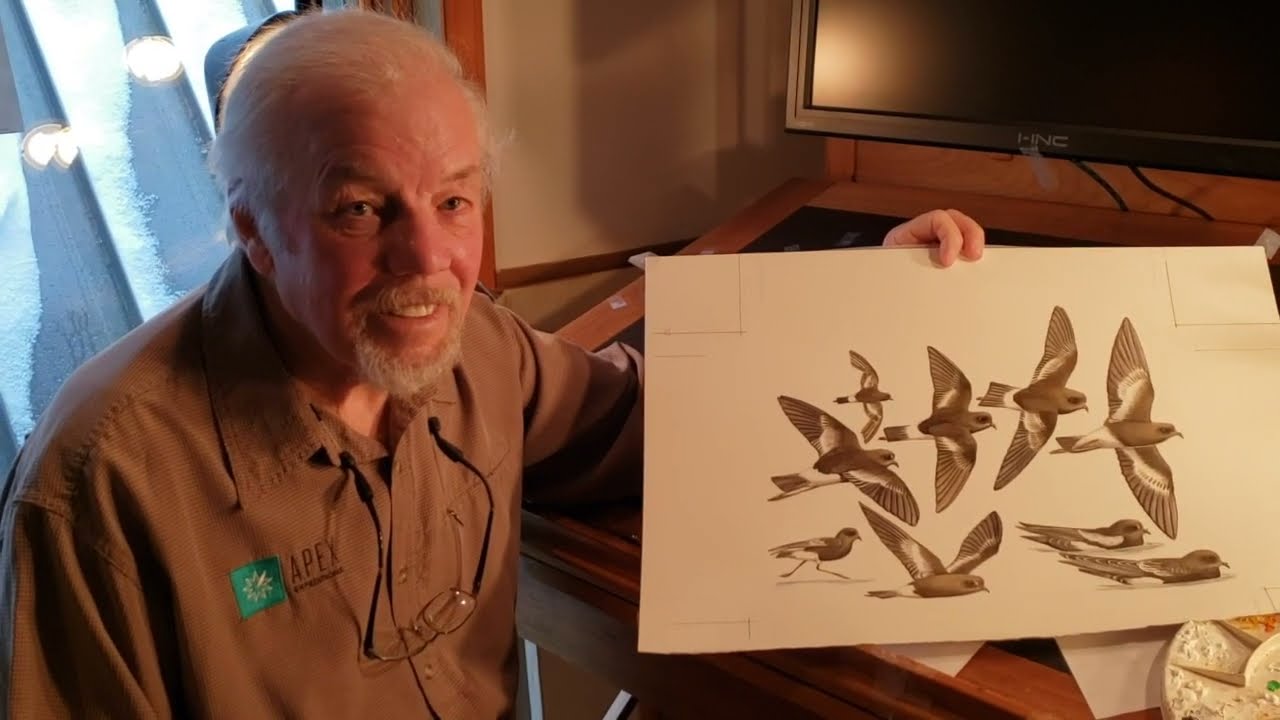 Discovery of the Pincoya Storm-petrel — 10th Anniversary