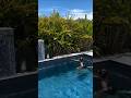 Crazy epic fails 😂#funny #ytshorts