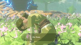 Zelda: Breath of the Wild. Magda: The Flowers' Rage!!!